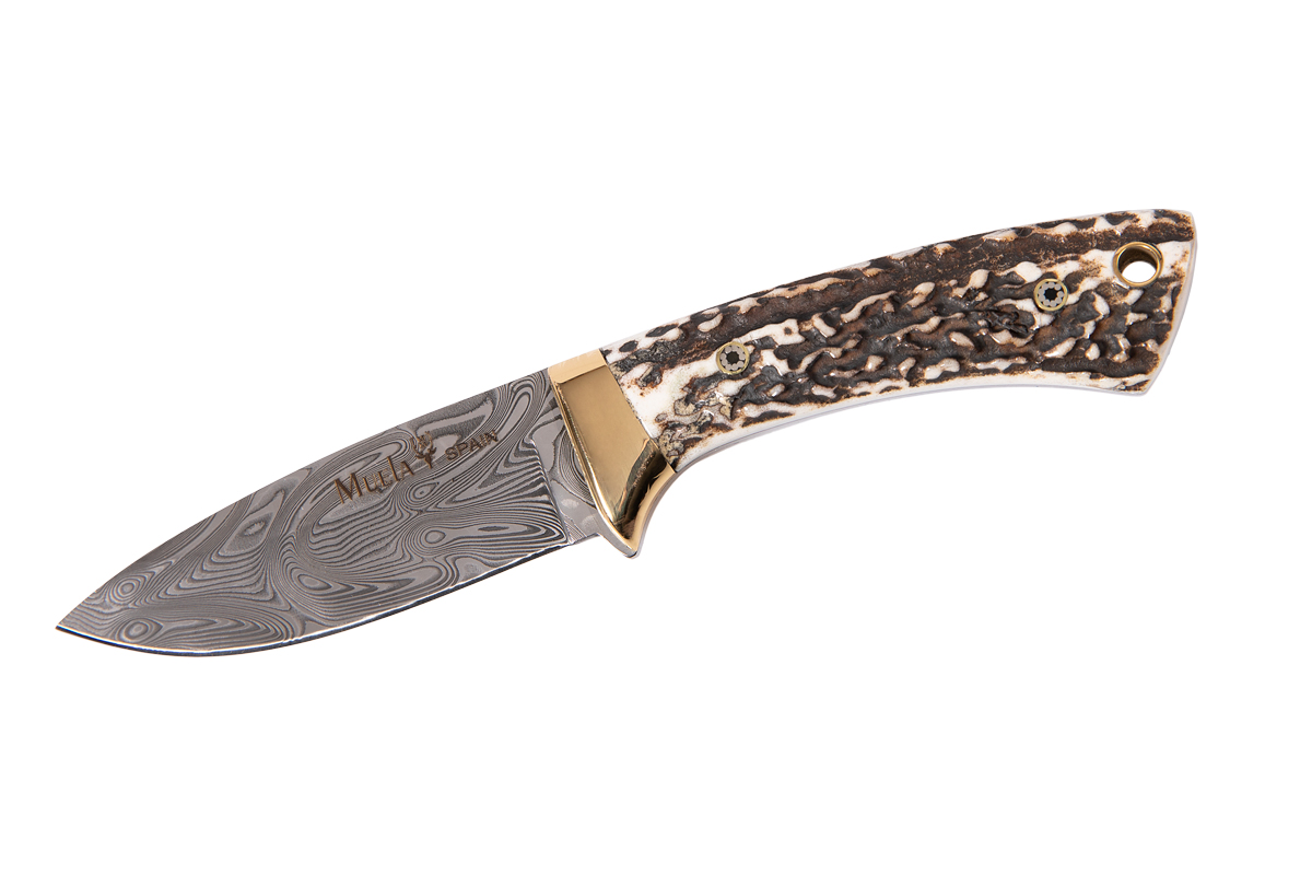 Full tang knife with stag and brass scales COL-7DAM